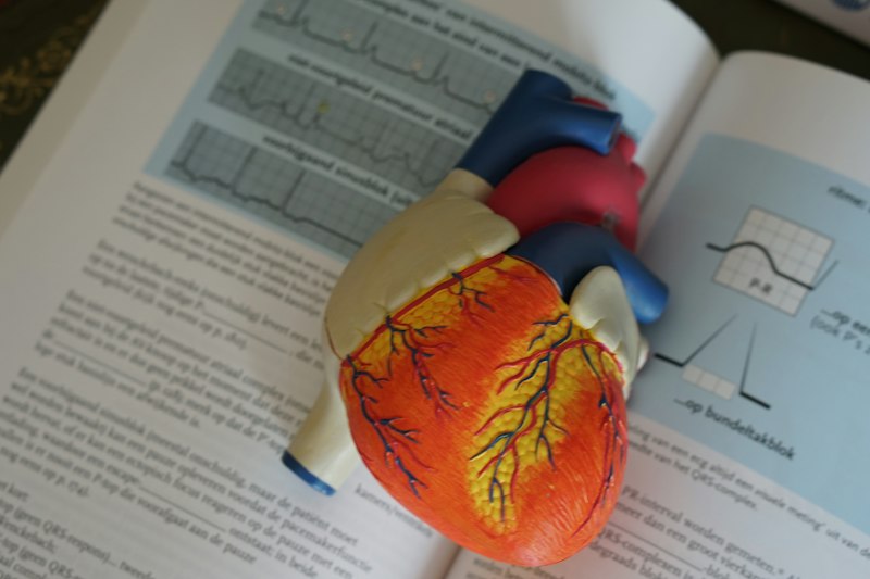 Cardiovascular & Arterial Check-Up